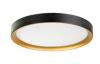 Auster Black & Gold Trim to Suit 18w LED Ceiling Oyster Light